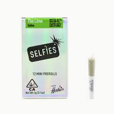 THE LIME-MINI PRE-ROLLS