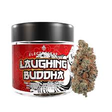 LAUGHING BUDDHA
