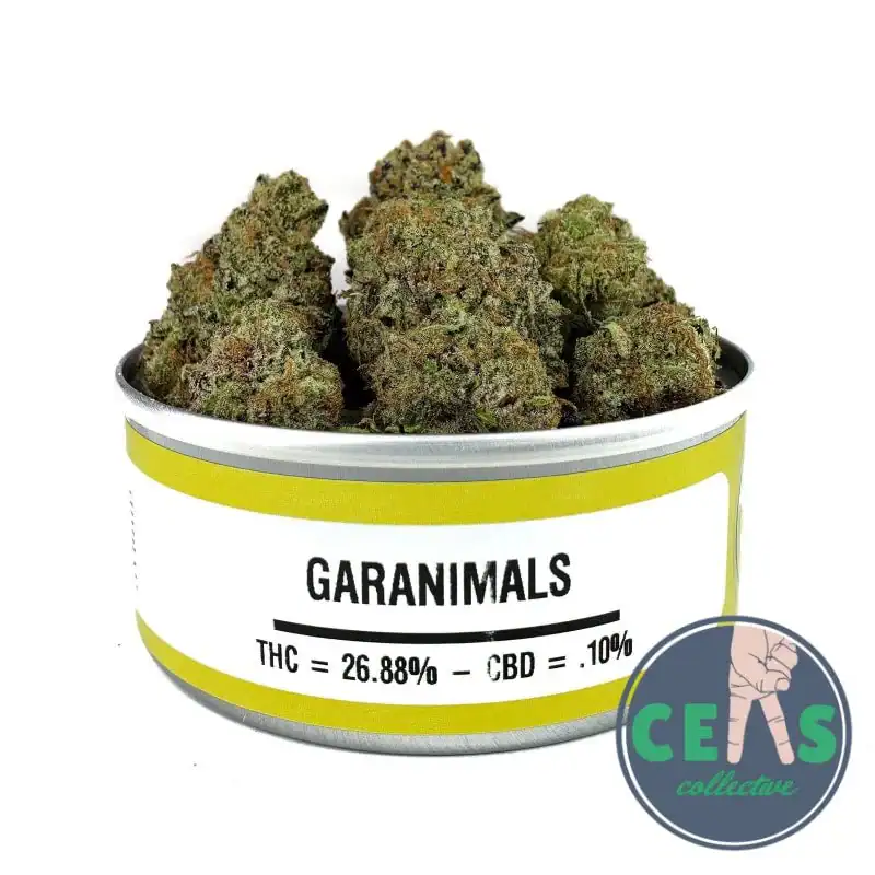 Garanimals